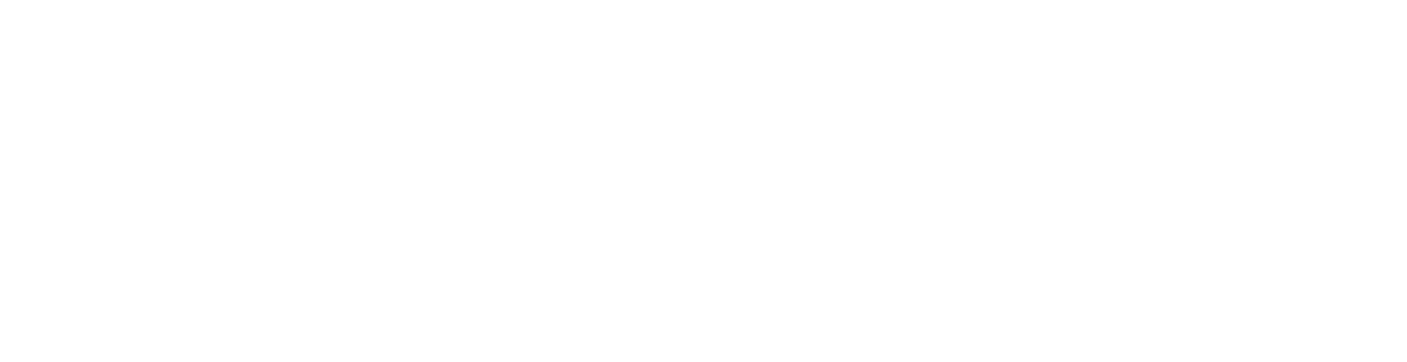 BidMax White Logo
